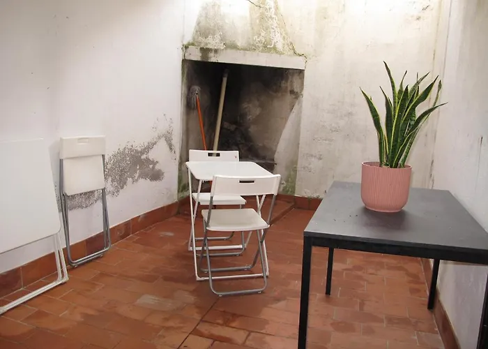 T1 Bis Cosy Avec Patio 17 Bis *